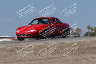 media/Oct-04-2025-OnGrid (Sat) [[44bd565ffa]]/Green Group/Grapevine/